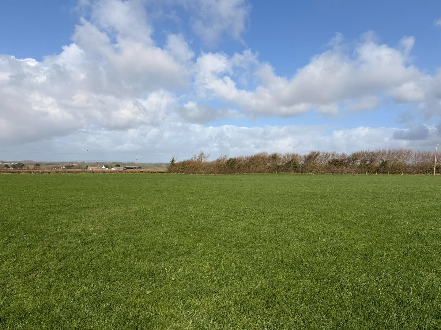 Approximately 6.064 acres of Agricultural Land, Adjacent to Carne Terrace, Llysworney, Cowbridge CF71 7LN